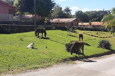 Pousada Kart Clube, São João del Rei – Preços atualizados 2023